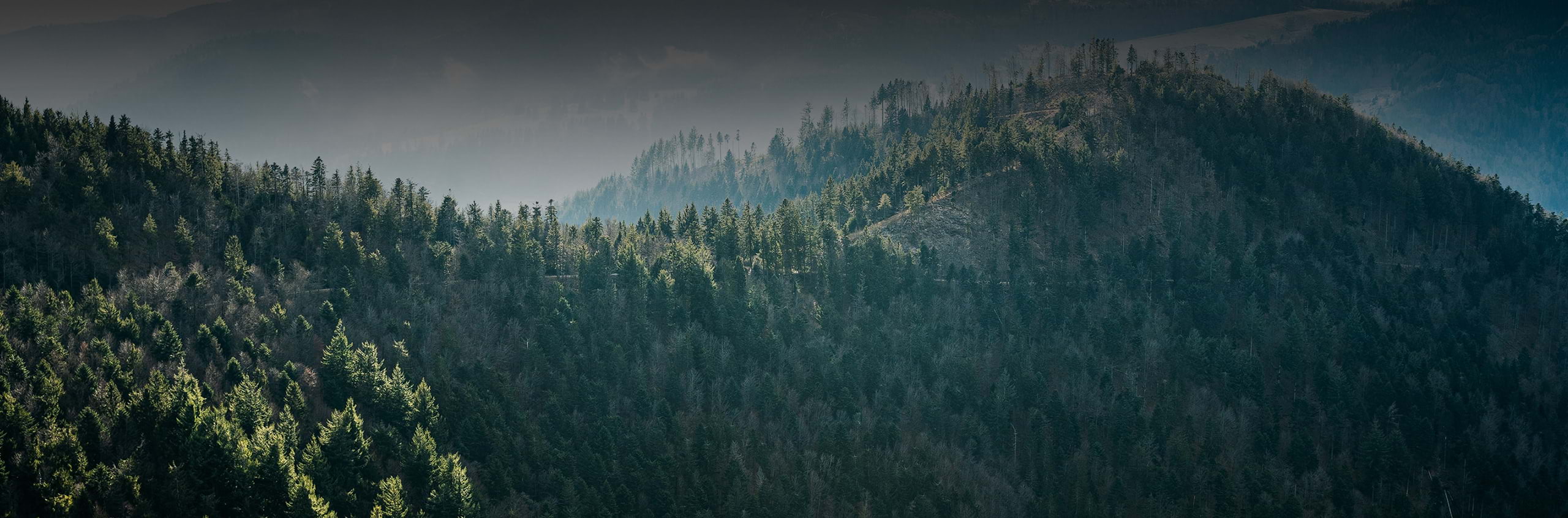 Optimiere deinen Verbrauch